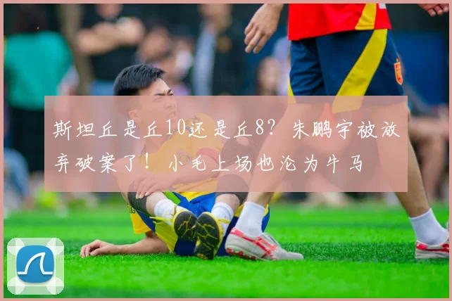 斯坦丘是丘10还是丘8？朱鹏宇被放弃破案了！小毛上场也沦为牛马