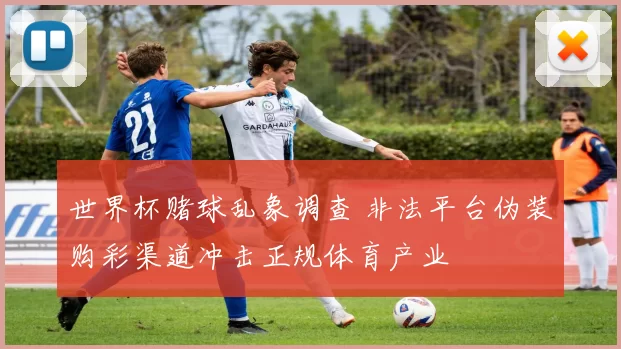 世界杯赌球乱象调查 非法平台伪装购彩渠道冲击正规体育产业