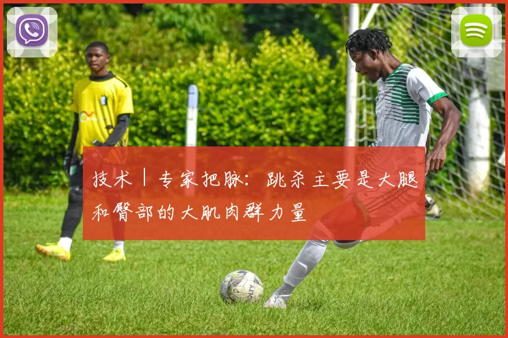 技术｜专家把脉：跳杀主要是大腿和臀部的大肌肉群力量