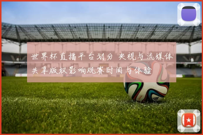 世界杯直播平台划分 央视与流媒体共享版权影响观赛时间与体验