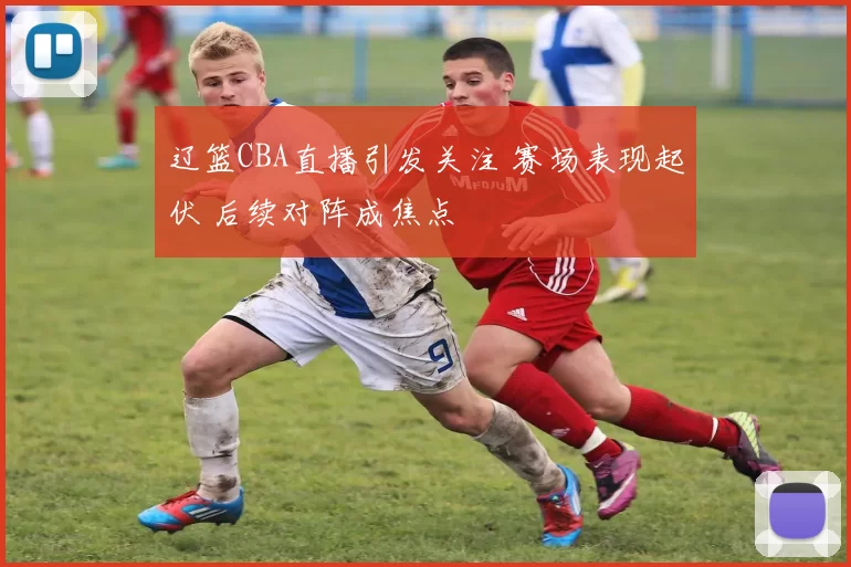 辽篮CBA直播引发关注 赛场表现起伏 后续对阵成焦点