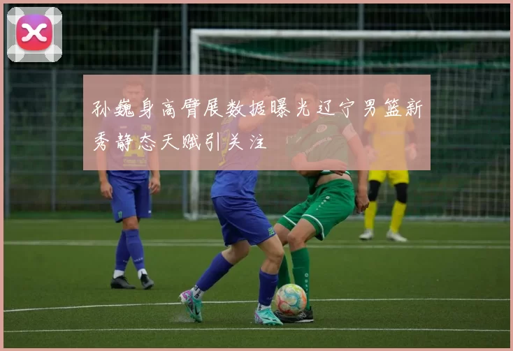 孙巍身高臂展数据曝光辽宁男篮新秀静态天赋引关注