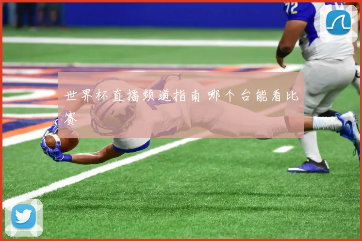 世界杯直播频道指南 哪个台能看比赛