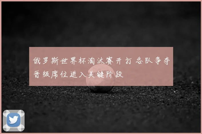 俄罗斯世界杯淘汰赛开打 各队争夺晋级席位进入关键阶段