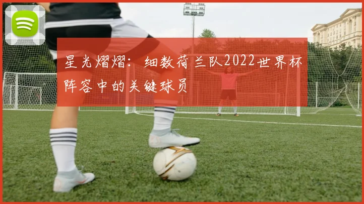 星光熠熠：细数荷兰队2022世界杯阵容中的关键球员