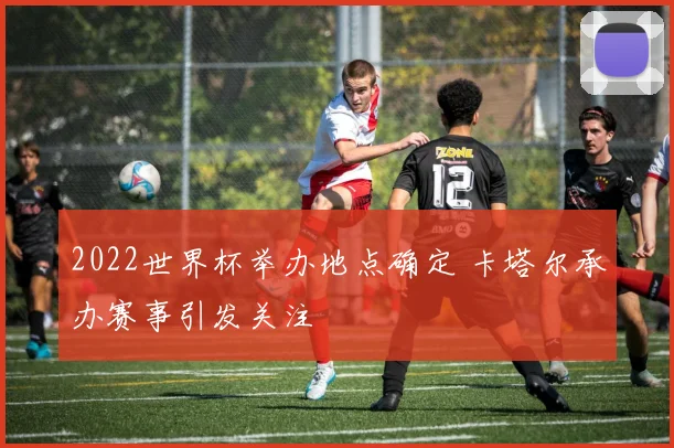 2022世界杯举办地点确定 卡塔尔承办赛事引发关注