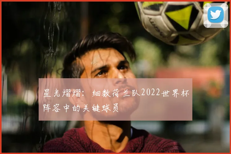 星光熠熠：细数荷兰队2022世界杯阵容中的关键球员