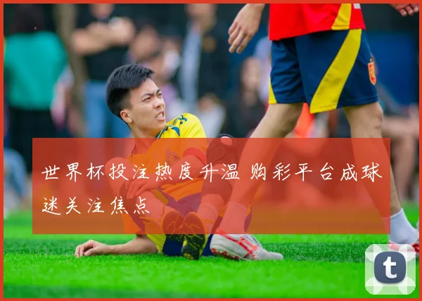 世界杯投注热度升温 购彩平台成球迷关注焦点